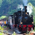 Kuckucksbahn im Bahnhof Erfenstein !