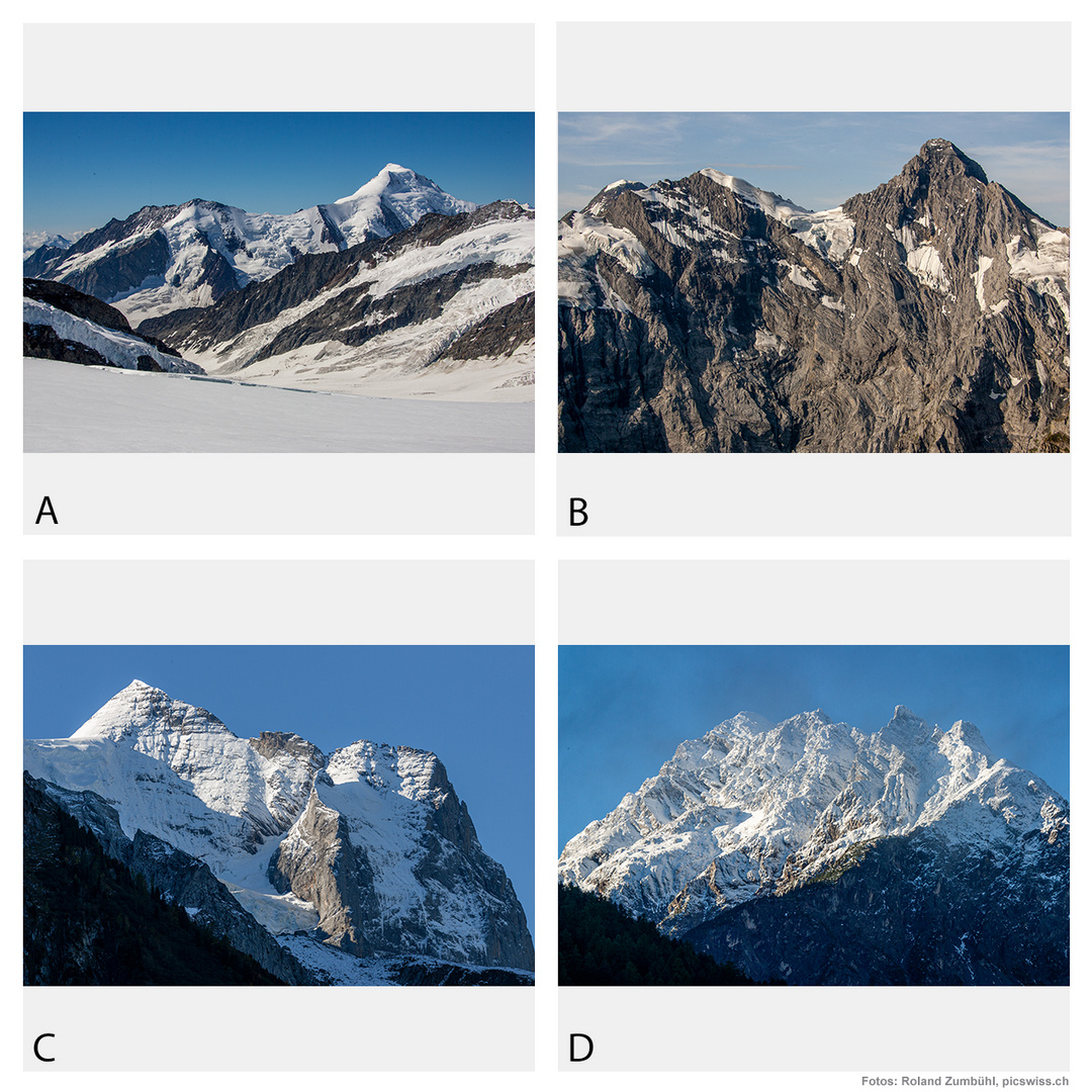 Kuckucksei-Quiz Nr. 4