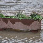 Kübel bei Hochwasser