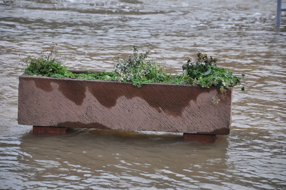 Kübel bei Hochwasser