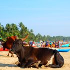 Küche am strand