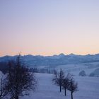 Küchenfensterblick 2