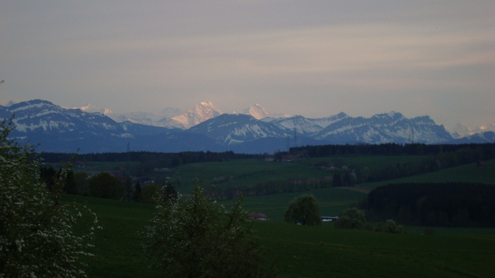 Küchenfensterblick April