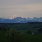 Küchenfensterblick April