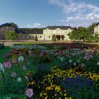 Küchengarten im Sommer 