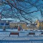 Küchengarten im Winter 