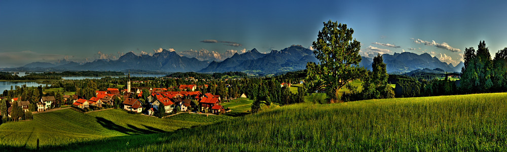 Kühe am Abend ;-) oder Blick über Rimsting auf der Ludwigshöhe reload