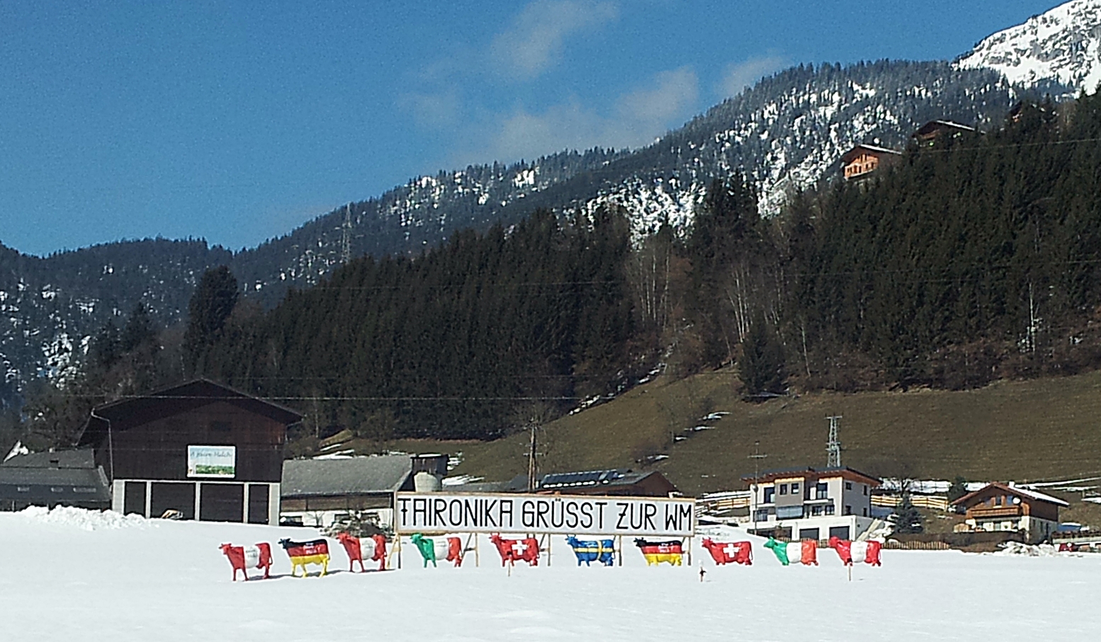 Kühe zeigen Flagge - Schladming 2013