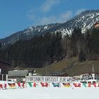 Kühe zeigen Flagge - Schladming 2013