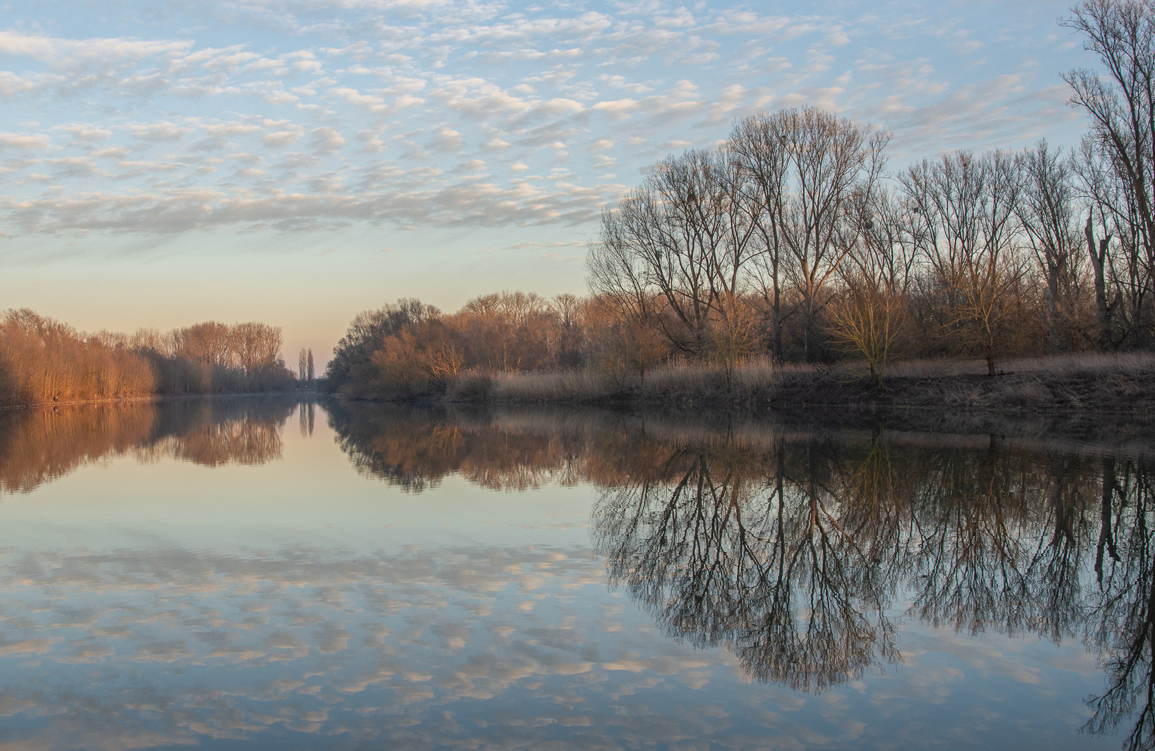  - Kühkopf mirror -  (2)