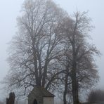 Kühle Herbststimmung