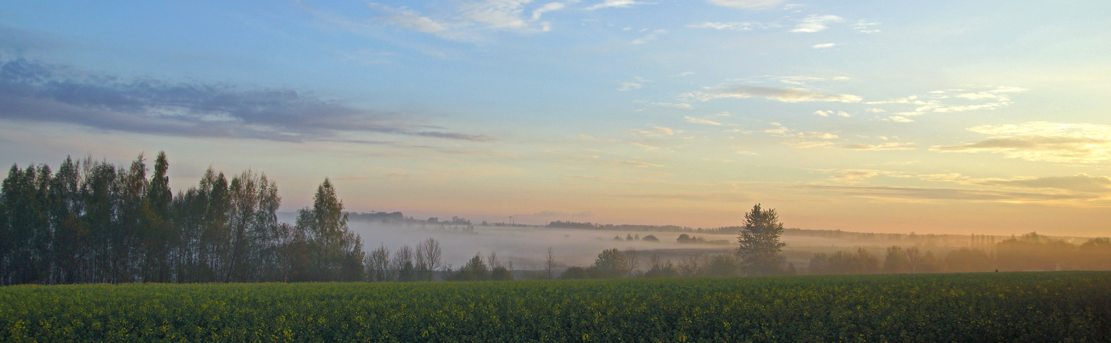 Kühle Morgenluft