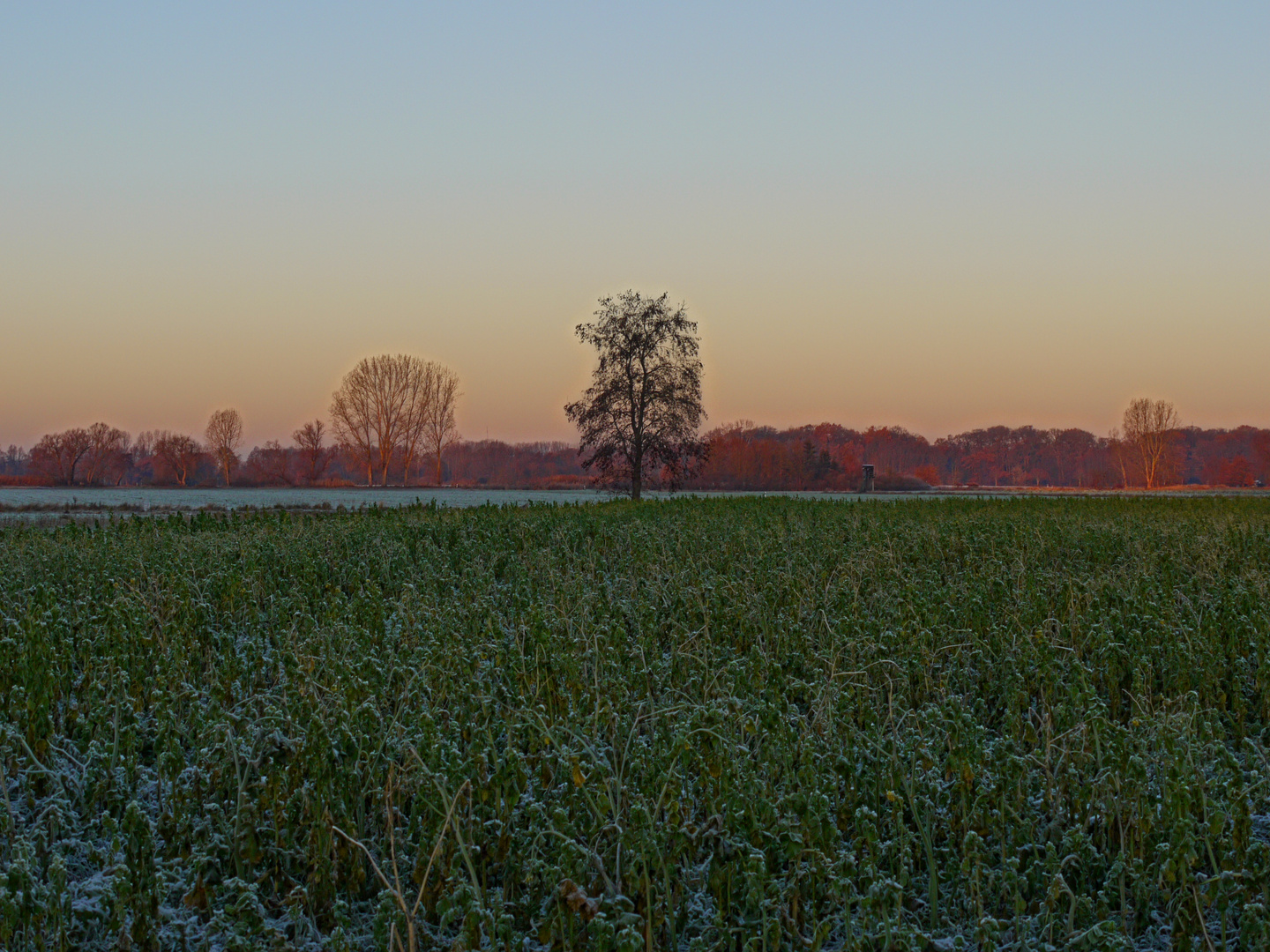 kühle Morgenstimmung