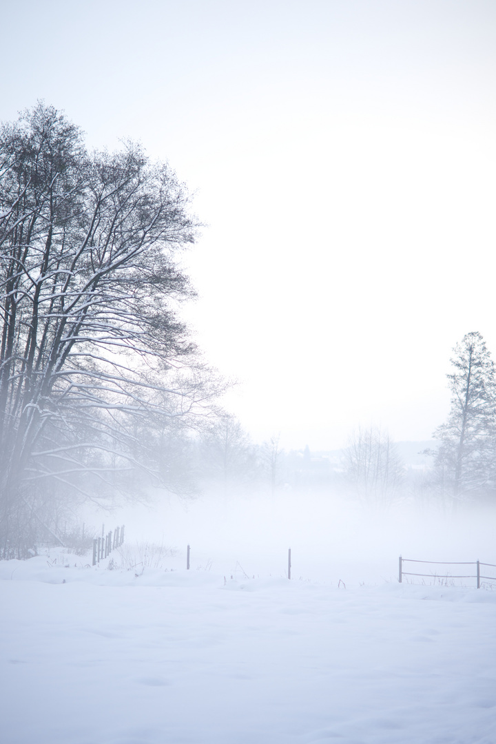 kühle nebel