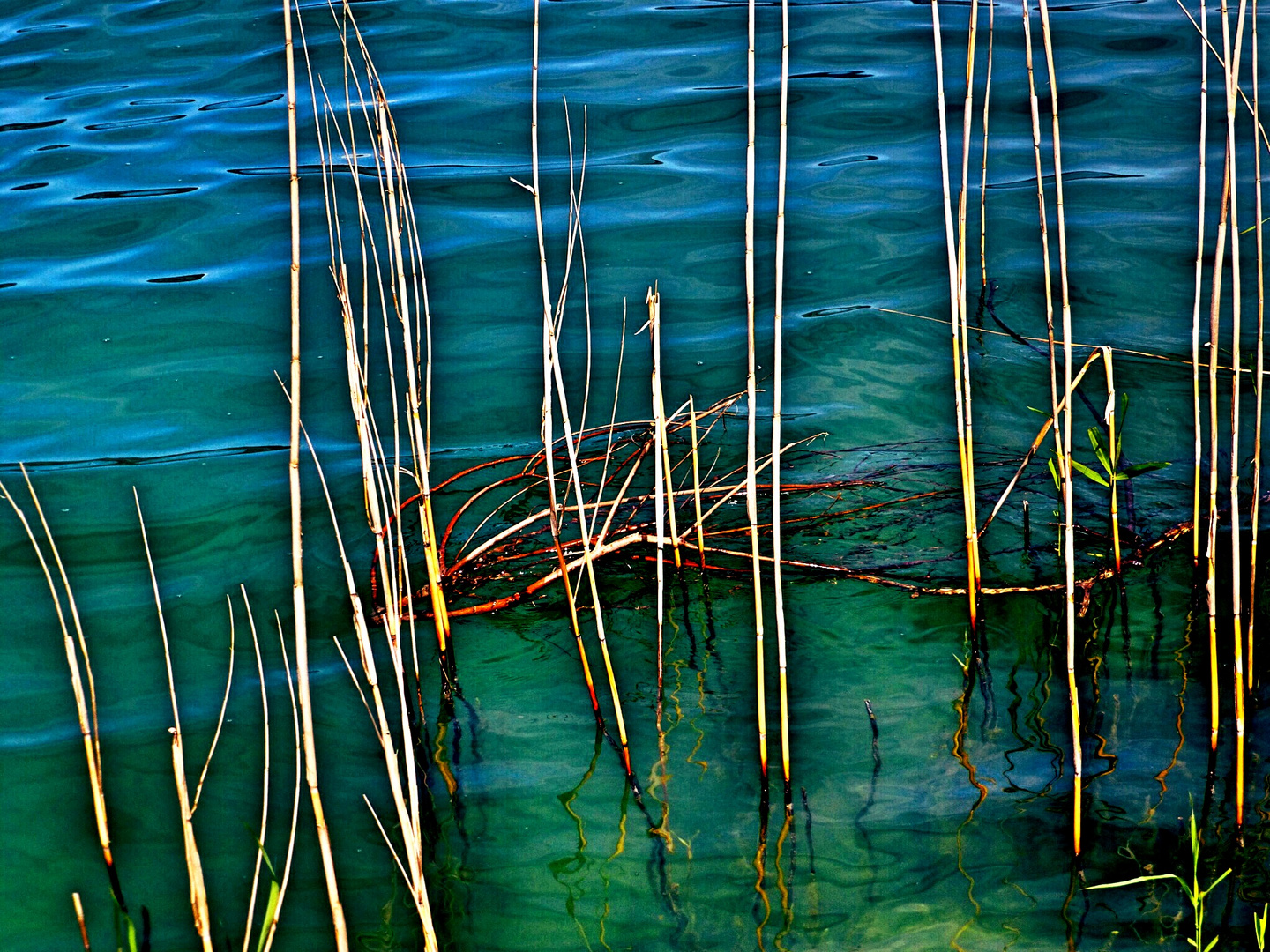 kühlendes Wasser