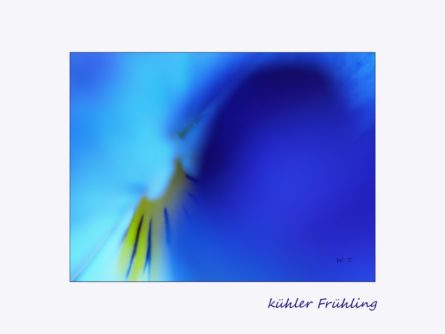 kühler Frühling