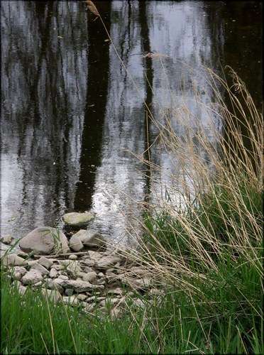 Kühler Frühling an der Enz