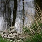 Kühler Frühling an der Enz