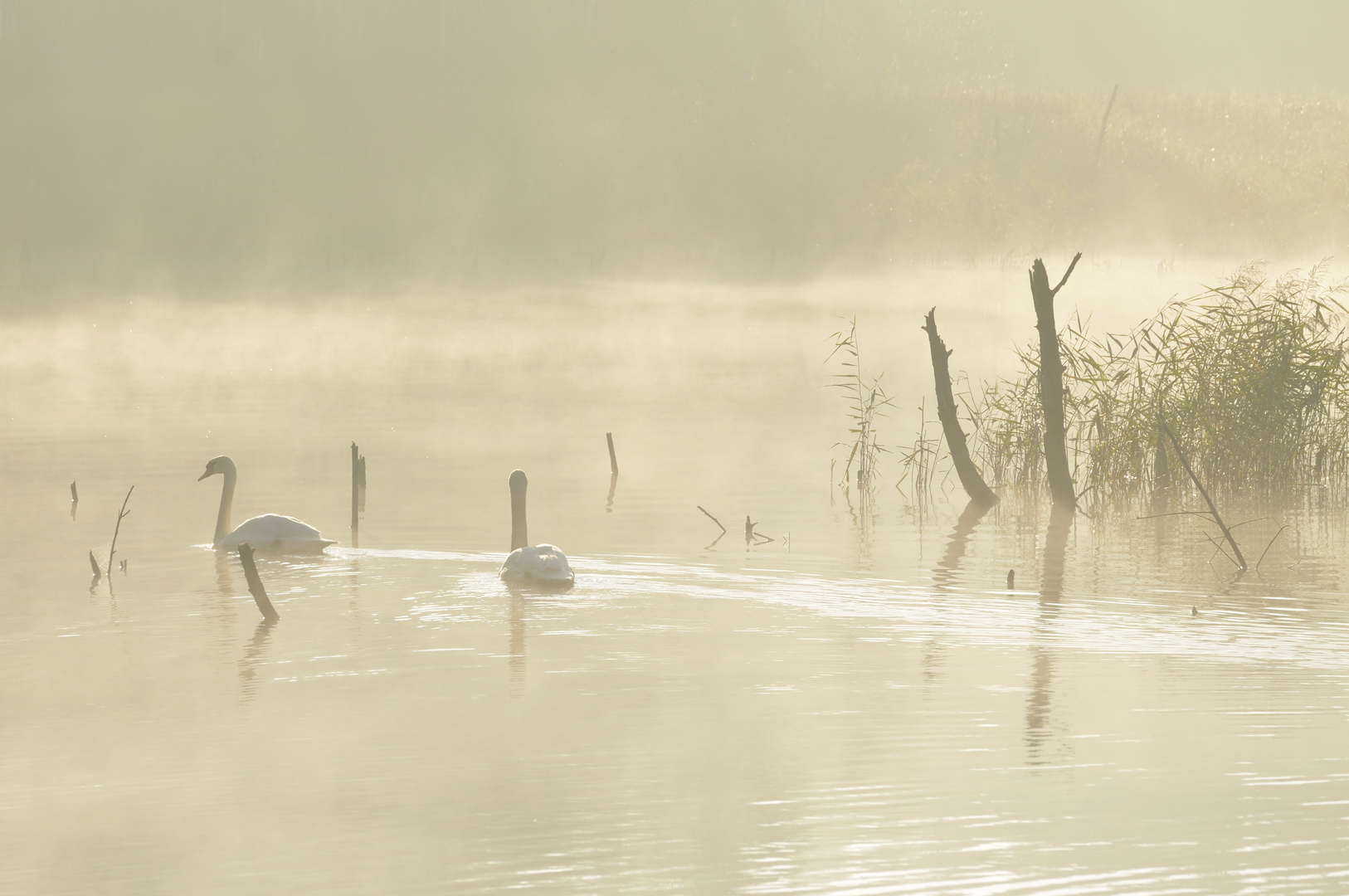 Kühler Herbstmorgen