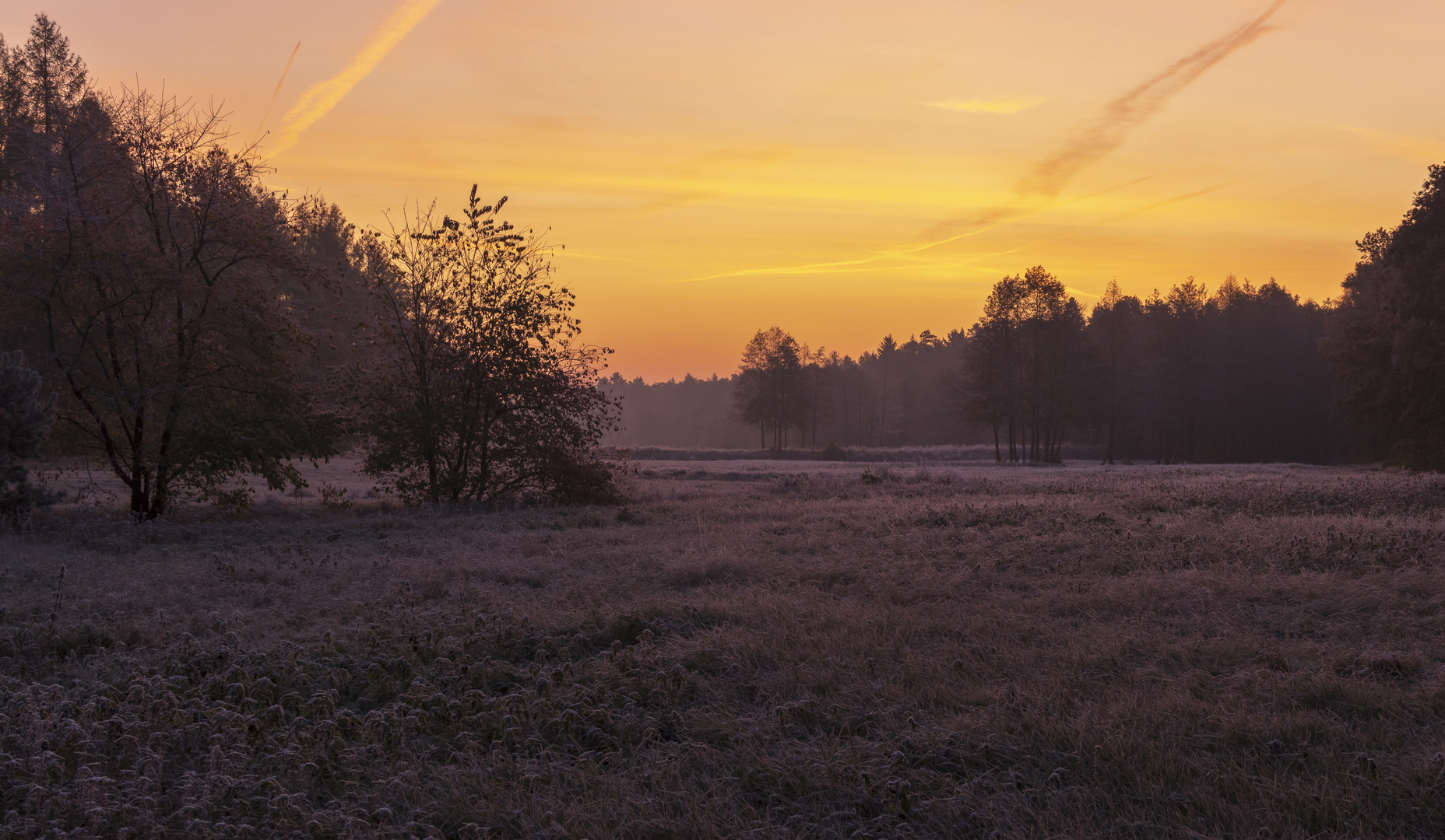 Kühler Herbstmorgen in der Lüneburger Heide