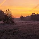 Kühler Herbstmorgen in der Lüneburger Heide