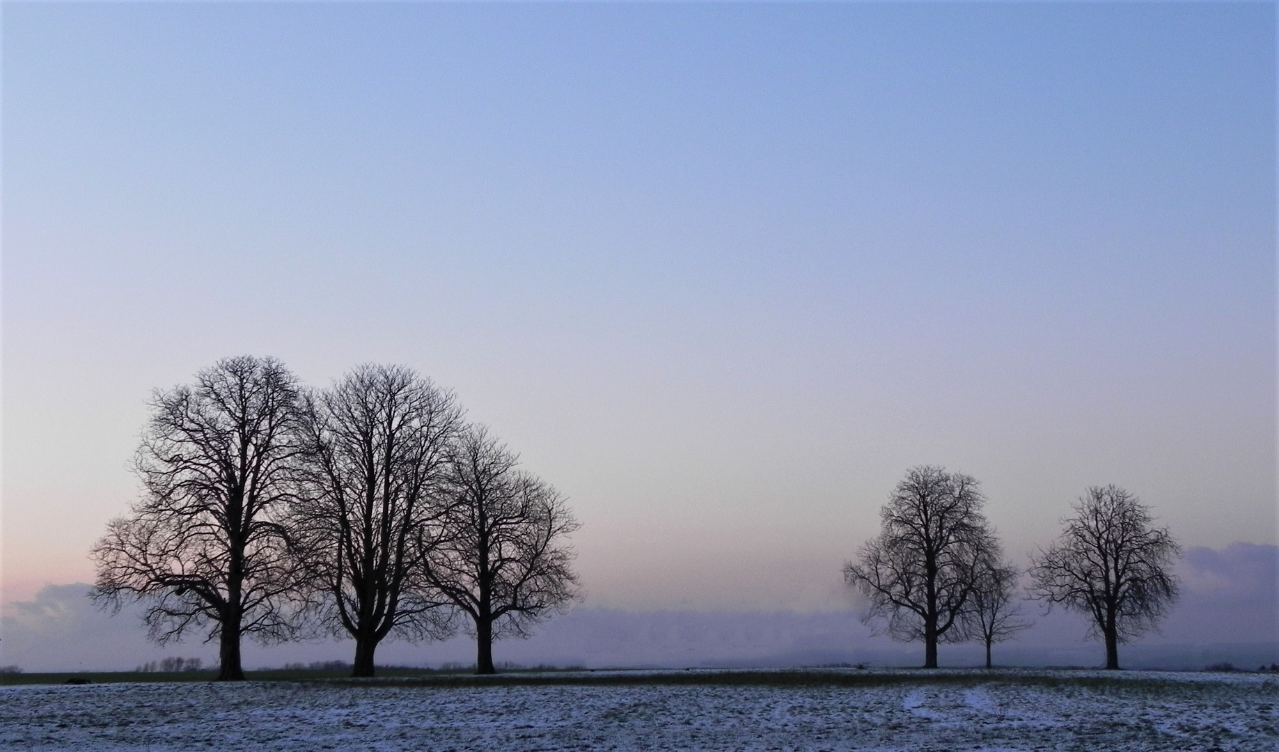 Kühler Morgen (1)