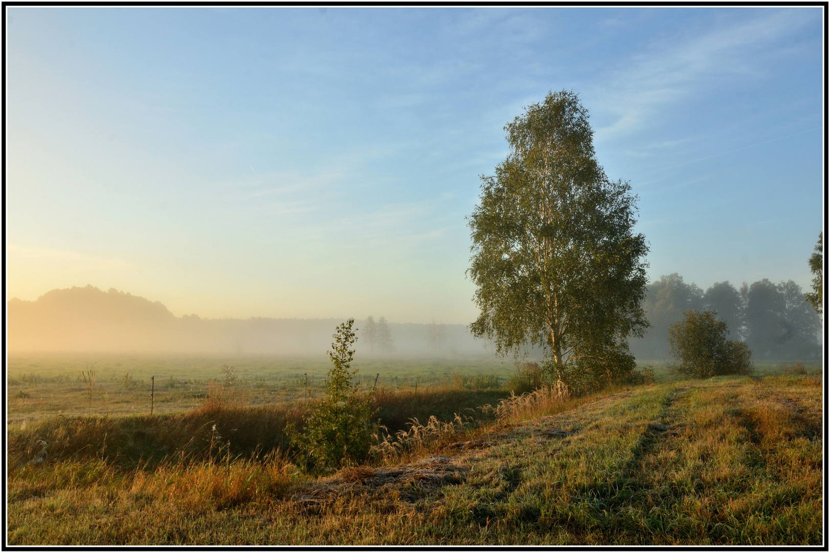 Kühler Morgen am letzten Tag des Sommers