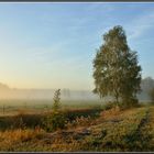 Kühler Morgen am letzten Tag des Sommers