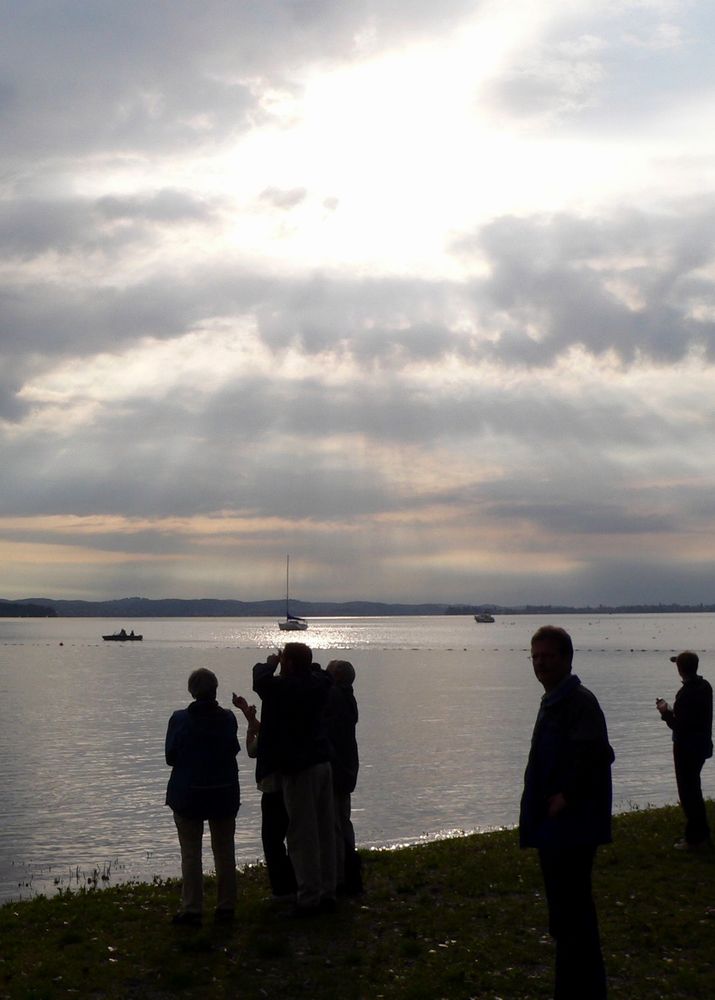 Kühler Morgen am Untersee