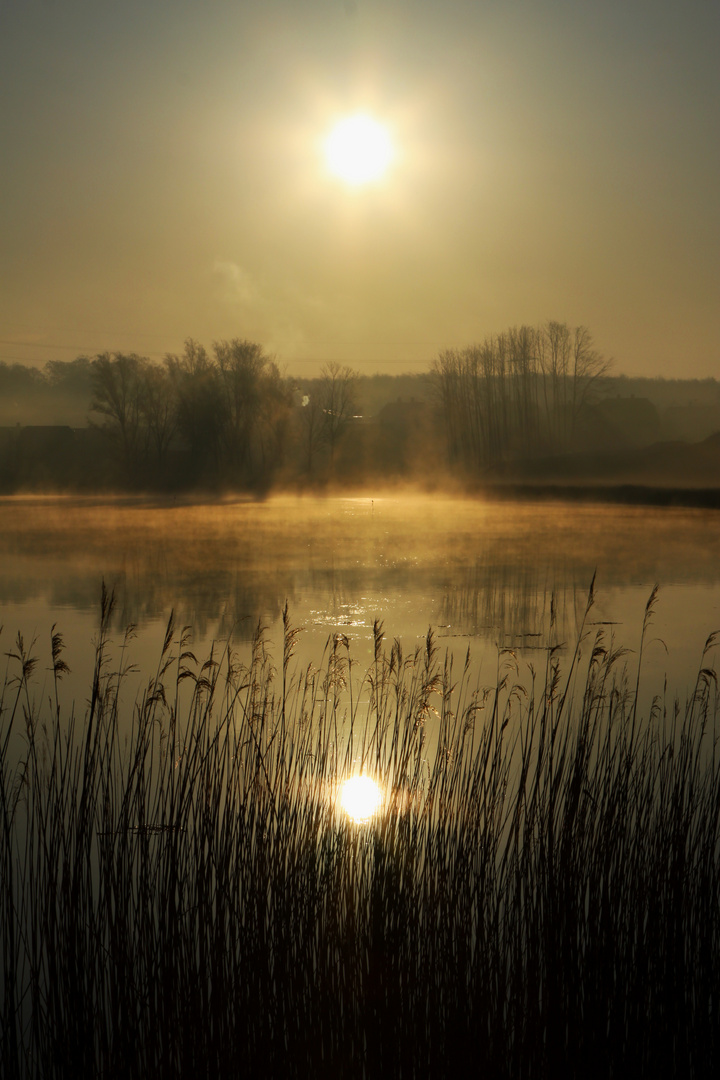 Kühler Morgen an der Schlei