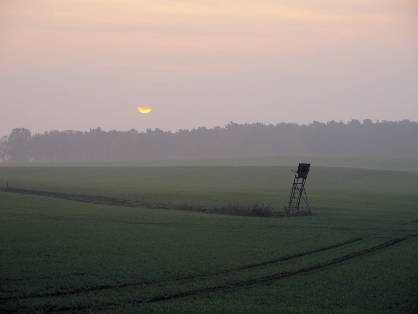 Kühler Morgenhauch ....