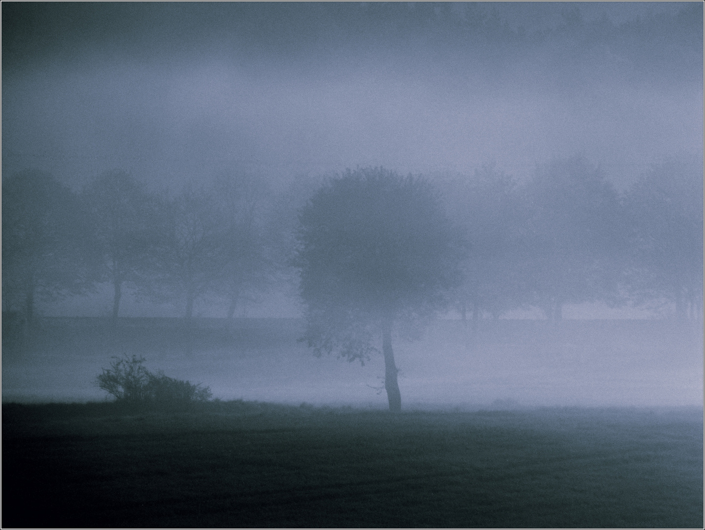 Kühler Morgennebel im April