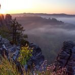 kühler sommermorgen