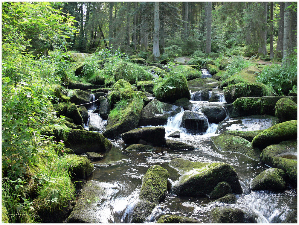 Kühles Wasser sprudelt in der Saußbachklamm