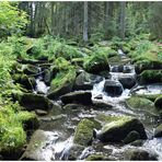 Kühles Wasser sprudelt in der Saußbachklamm