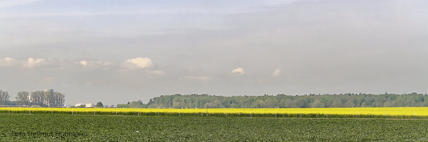 KÜHLTÜRME AM HORIZONT, WEIT HINTER DEM RAPS