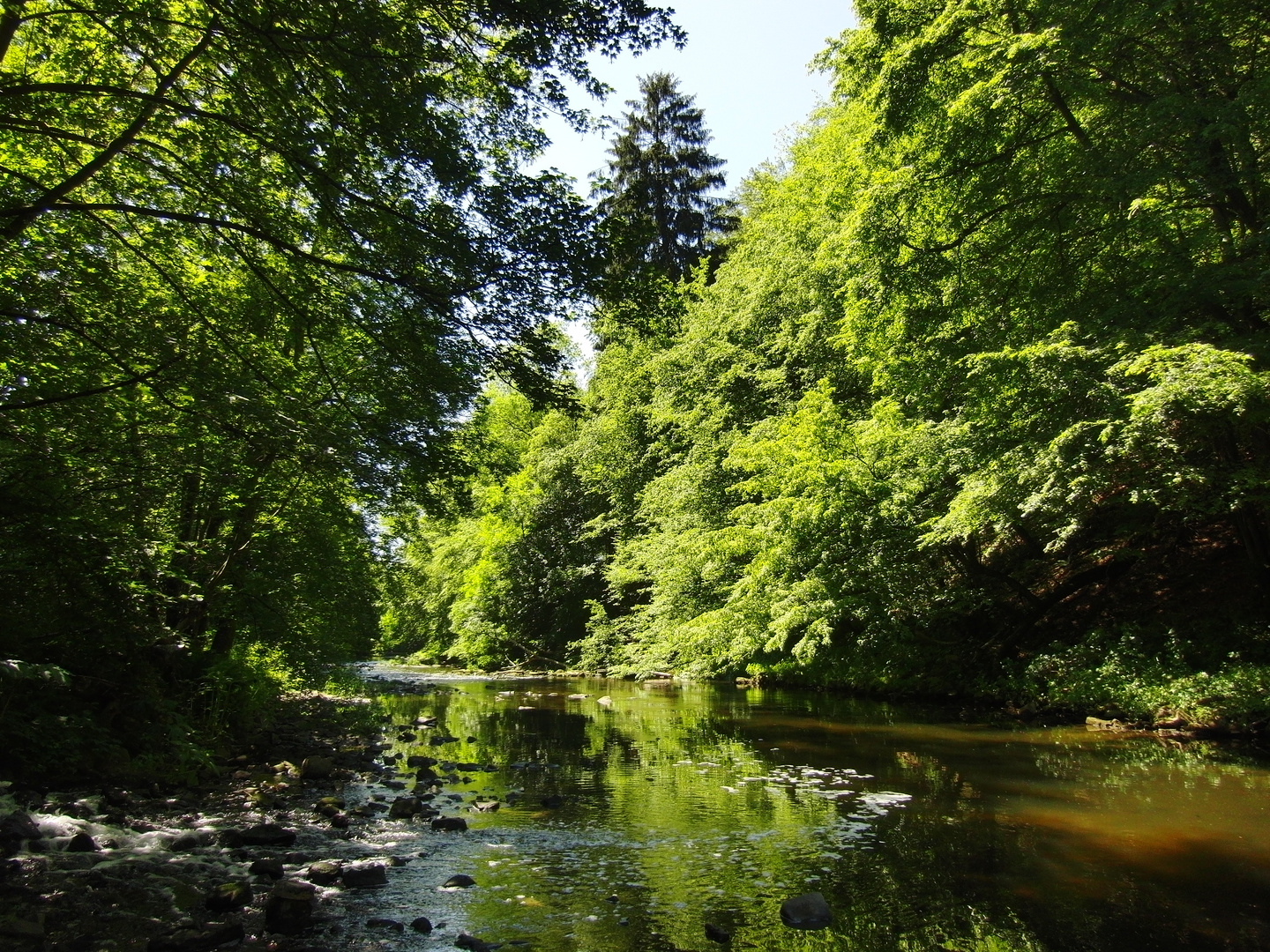 Kühlung im Hochsommer