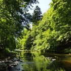 Kühlung im Hochsommer