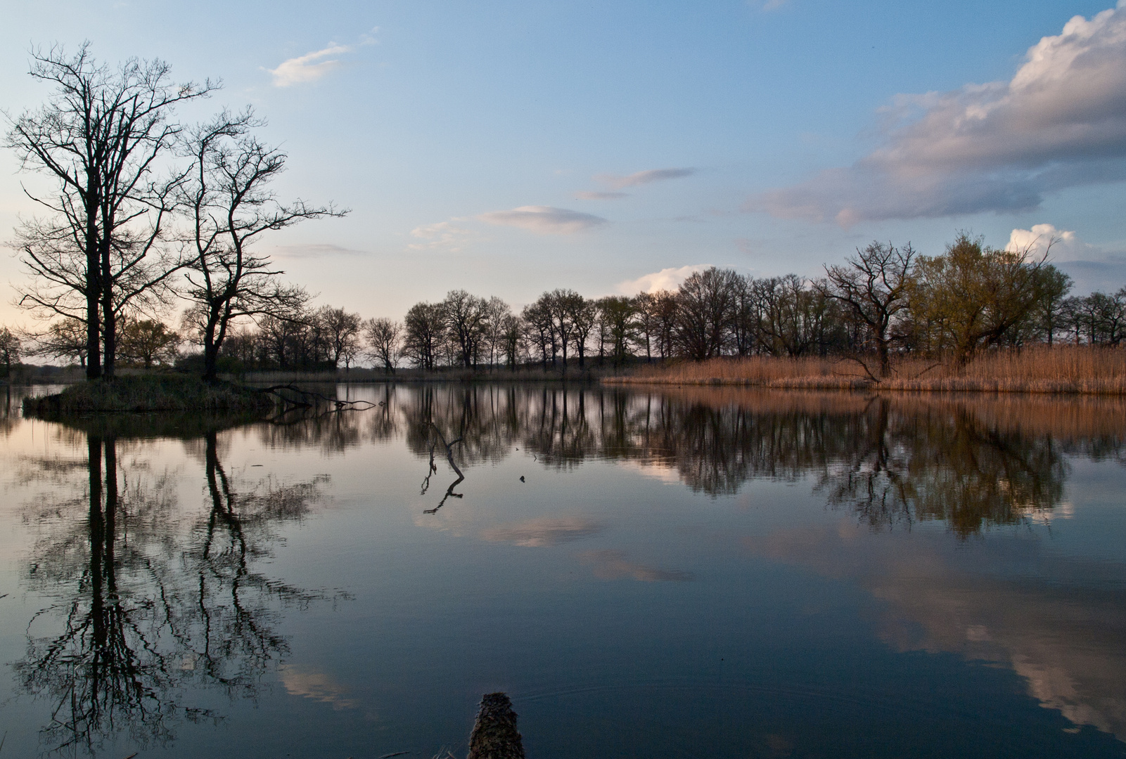 Kühnauer See