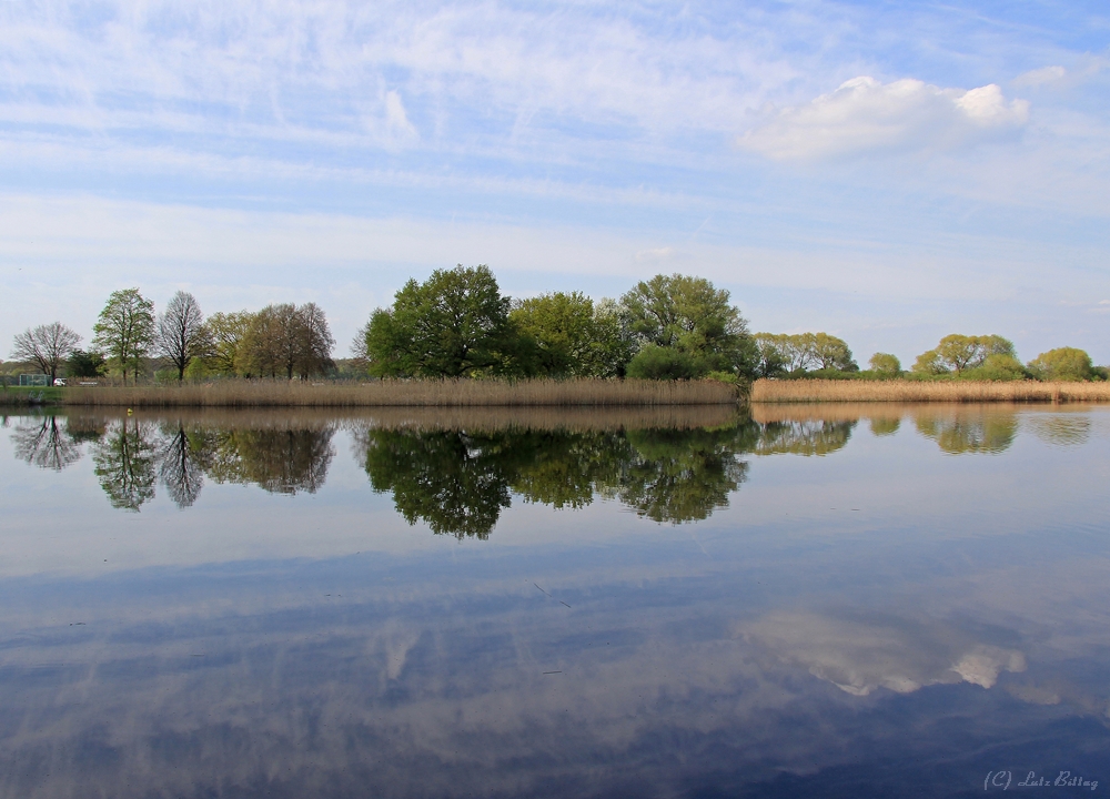 Kühnauer See