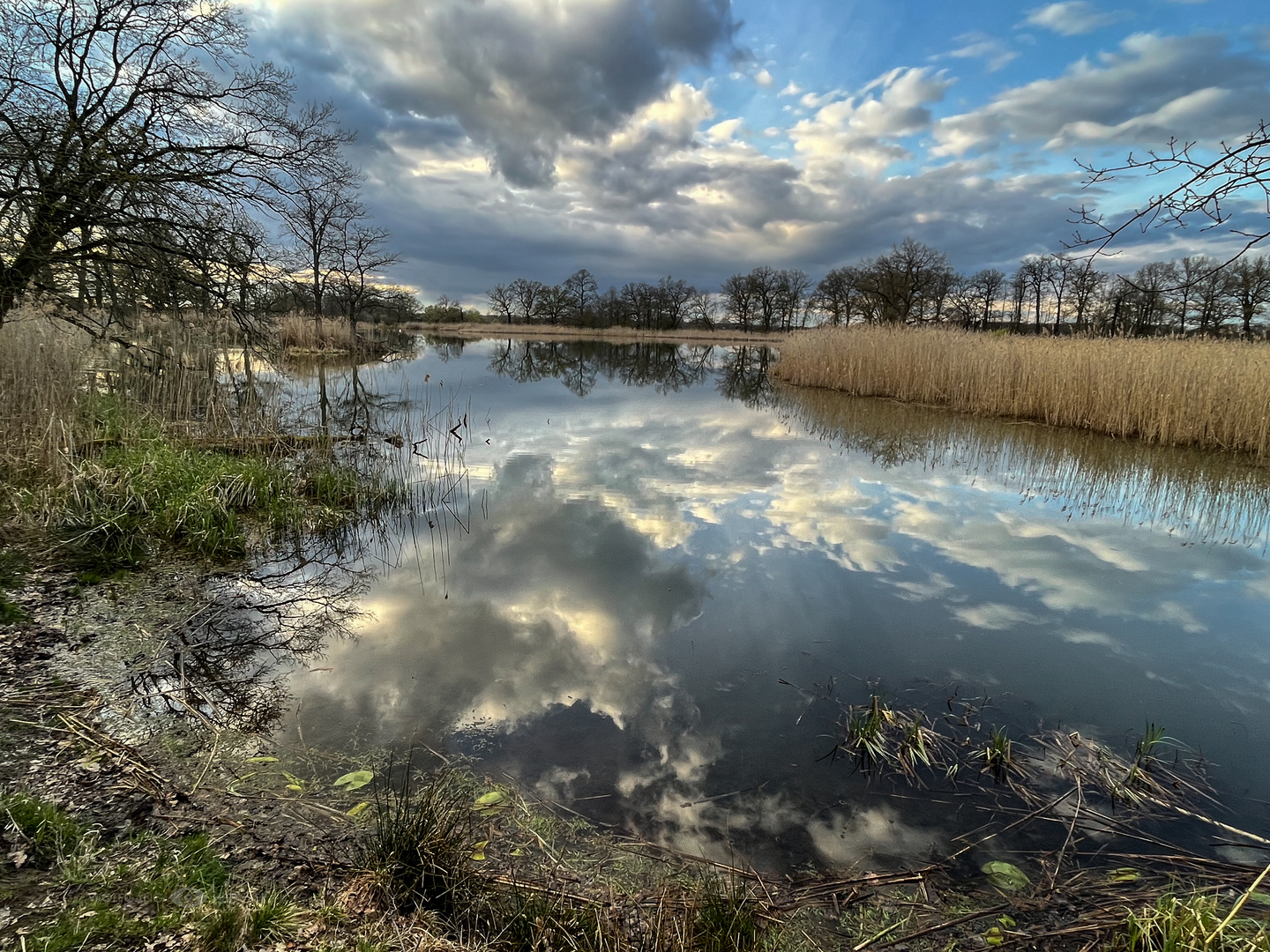 Kühnauer See - noch ein Lieblingsort