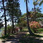 Kuendu Beach Resort  --  Nouméa