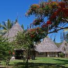 Kuendu Beach Resort, Nouméa - Les bungalows côté jardin -- Die Gartenbungalows