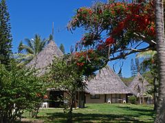 Kuendu Beach Resort, Nouméa - Les bungalows côté jardin -- Die Gartenbungalows