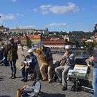 Künstler auf der Karlsbrücke