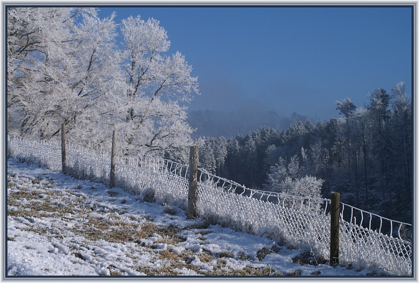 Künstler Frost