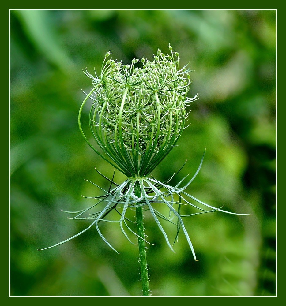 ~ Künstler Natur ~