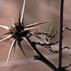 Künstler Natur - Kuyulusebil ( Türkei )