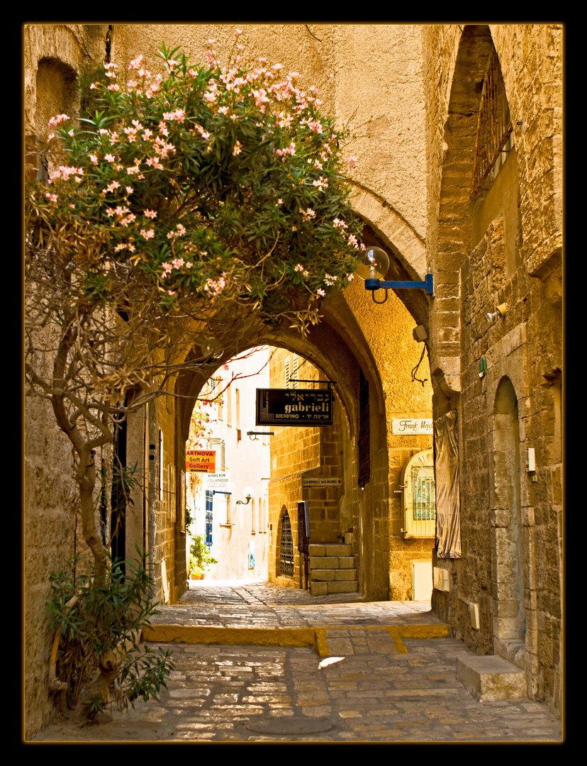 Künstlergasse in Jaffa