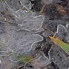 Künstlerin Natur hat unsere Wiese besucht! - Oeuvres artistiques sur le pré gelé...